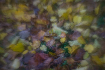 In autumn, the park transforms into a breathtaking scene as leaves turn golden, red, and orange, blanketing the ground in warm colors while a crisp breeze stirs the air.