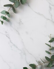 Eucalyptus branches on marble