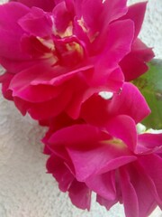 natureza, ar livre, paisagem, montanha, verde, azul, céu, nuvens, mar, oceano, onda, floresta, árvores, água, paz, paraíso, relaxamento, viagem, portugal, madeira, ilha da madeira