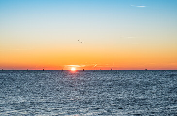 Naklejka premium Fiery Sunset in Grado on the Sea in Winter: Light Trails and Birds in Flight Painting the Sky.