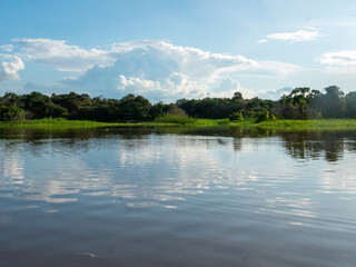 Amazon river landscape near the community of Anama.