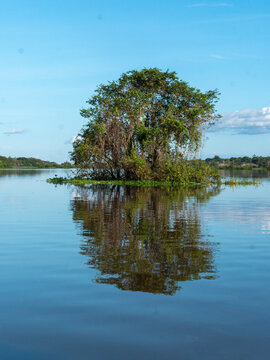 Amazon river landscape near the community of Anama.