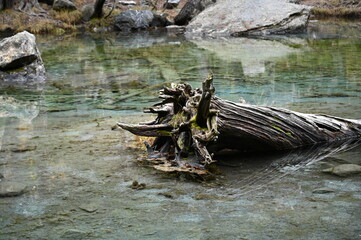 Lac Vert à Névache (05)