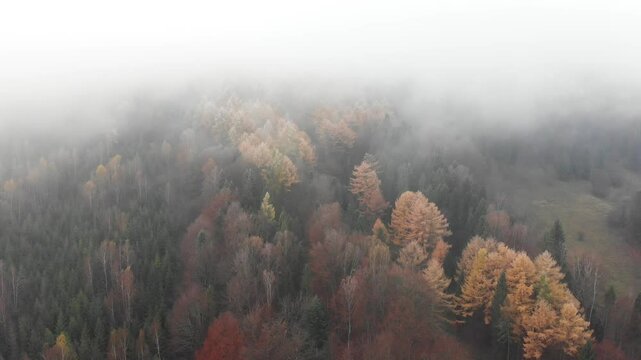 Chmury sunące ponad lasem w chłodny jesienny poranek, Bieszczady, Podkarpacie, Polska, Europa