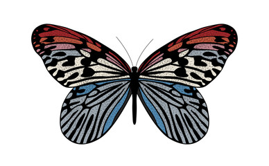 Colorful butterfly a vector illustration