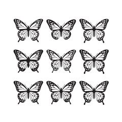 set of butterflies isolated