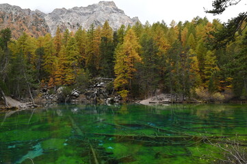 Lac Vert &agrave; N&eacute;vache (05)