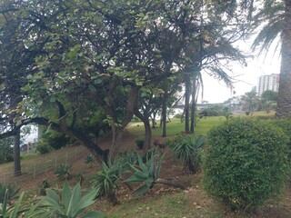 natureza, ar livre, paisagem, montanha, verde, azul, céu, nuvens, mar, oceano, onda, floresta, árvores, água, paz, paraíso, relaxamento, viagem, portugal, madeira, ilha da madeira