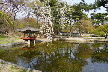 Empty Pagoda on the Water with Cherry Blossoms - Horizontal