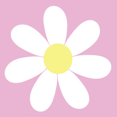 white daisy flower on pastel color background