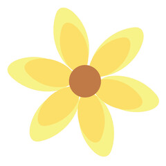 yellow flower on white background