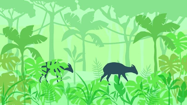 Beautiful landscape with bongo antelopes walking in the tropical forest (animation, seamless loop)