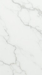Obraz premium A close-up view of a white marble surface, showcasing subtle gray veining.