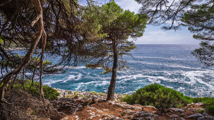 Küste von Banjole - Kroatien