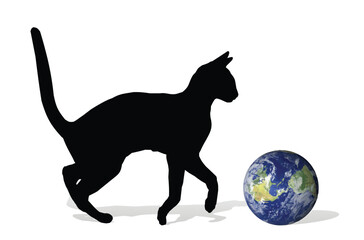 The silhouette of cat playing with globe.
