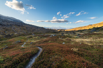 Path Through Geological Valley