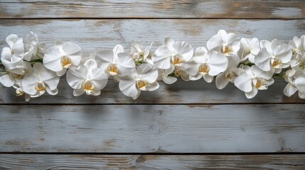 White orchids on rustic wooden backdrop