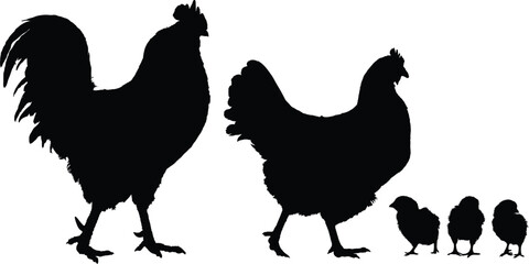 Family of chickens including rooster, hen and chicks