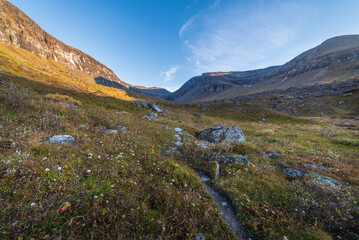 Afternoon Path In Beautiful Arctic Canyon