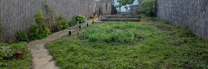 Overgrown backyard garden area needing maintenance, illustrating the concept of neglected home...