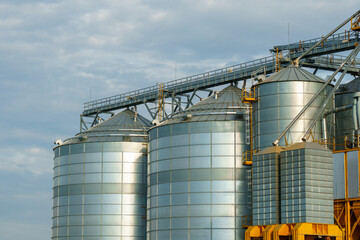 silver silos on agro manufacturing plant for processing drying cleaning and storage of agricultural products, flour, cereals and grain. Large iron barrels of grain. Granary elevator