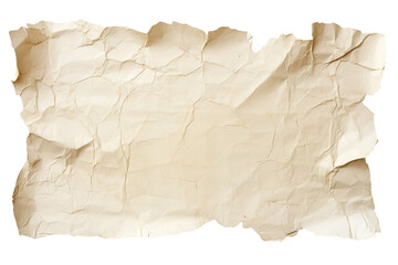 Fototapeta premium Abstract torn piece of petal paper isolated on transparent background
