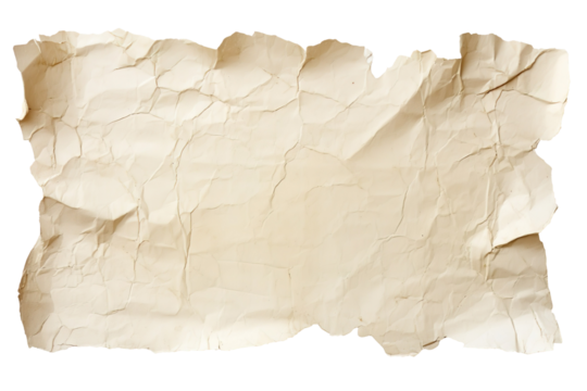 Abstract torn piece of petal paper isolated on transparent background