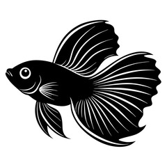 Betta fish vector silhouette on white background