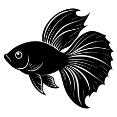 Betta fish vector silhouette on white background