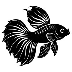 Betta fish vector silhouette on white background