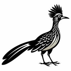 Greater Roadrunner vector silhouette on white background