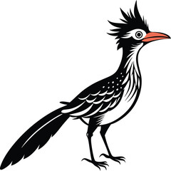 Greater Roadrunner vector silhouette on white background