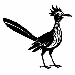 Fototapeta premium Greater Roadrunner vector silhouette on white background