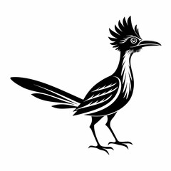 Fototapeta premium Greater Roadrunner vector silhouette on white background