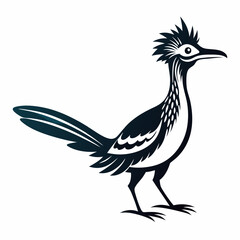 Greater Roadrunner vector silhouette on white background
