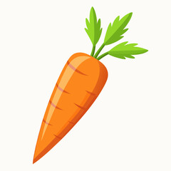 clip art realistic carrots vector illustration
