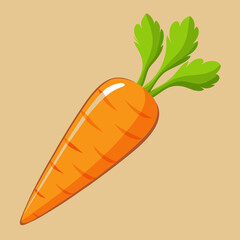 clip art realistic carrots vector illustration