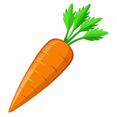 clip art realistic carrots vector illustration
