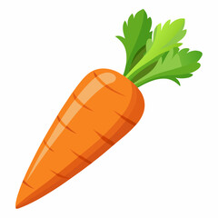 clip art realistic carrots vector illustration