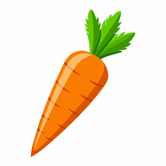 clip art realistic carrots vector illustration