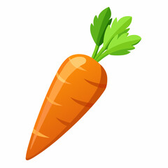 clip art realistic carrots vector illustration