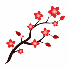 cherry blossoms vector illustration on white background