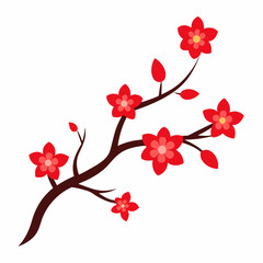 cherry blossoms vector illustration on white background