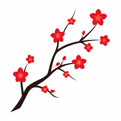 cherry blossoms vector illustration on white background