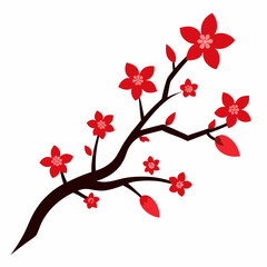 cherry blossoms vector illustration on white background