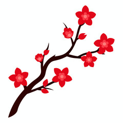 cherry blossoms vector illustration on white background