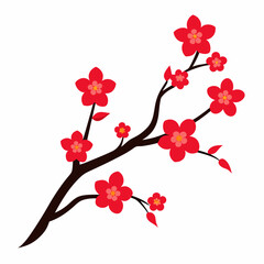 cherry blossoms vector illustration on white background