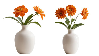 Obraz premium Two Vases with Orange Flowers Isolated on Transparent Background