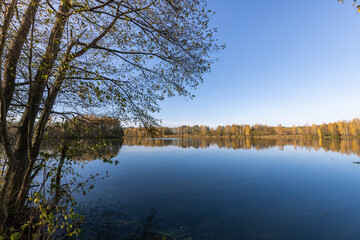Obraz premium A lake with a tree in the background