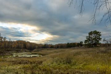 A field with a pond in the middle and a tree in the background